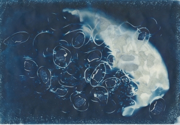 https://www.bryanhutchison.com/bryanhutchison.com/indexhibit/files/gimgs/th-13_Brandon_Twede-5-Cyanotype.jpg