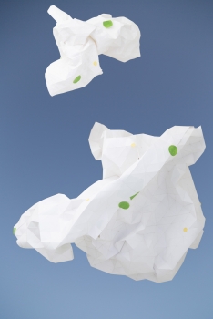 https://www.bryanhutchison.com/bryanhutchison.com/indexhibit/files/gimgs/th-6_Cloud_Study_V-1500.jpg